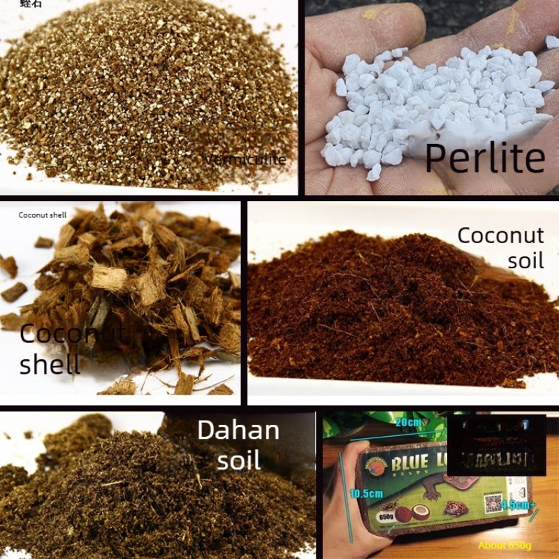Cegła z włókna kokosowego, pod – Sphagnum Moss Dry recenzja i cena
