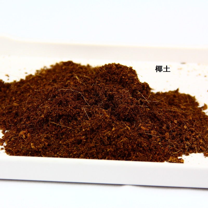 Cegła z włókna kokosowego, pod – Sphagnum Moss Dry recenzja i cena