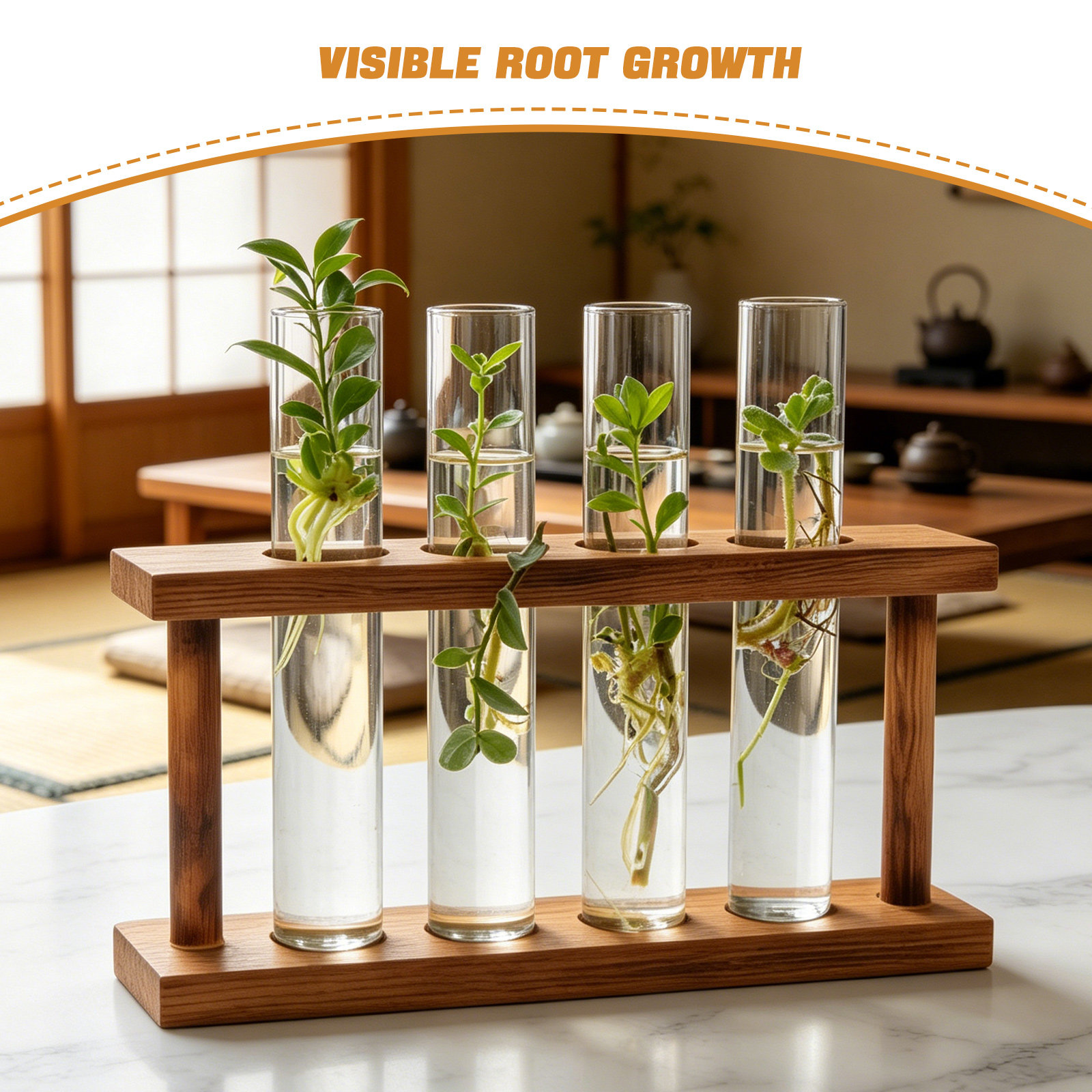 Drewniana stacja do rozmnażani – Propagation Station Vase recenzja i cena