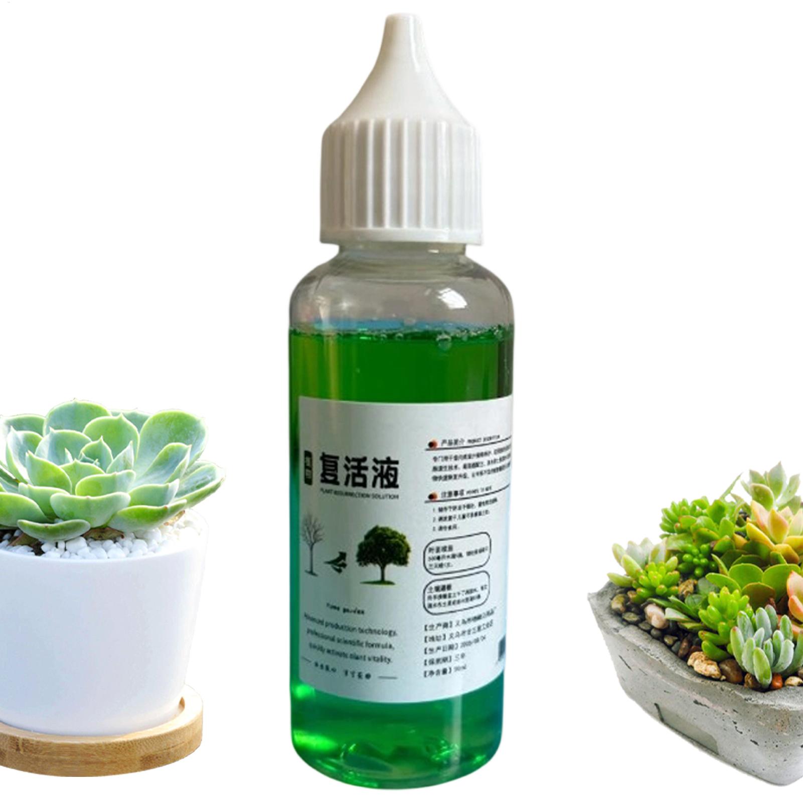 Stymulator wzrostu korzeni dla – Root Stimulator Liquid recenzja i cena