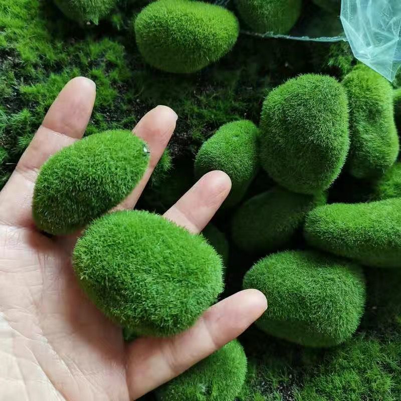 Sztuczne zielone kamienie mchu – Sphagnum Moss Dry recenzja i cena